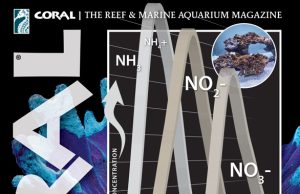 Nuovo CORAL Magazine: ciclo, biodiversità e nuove prospettive