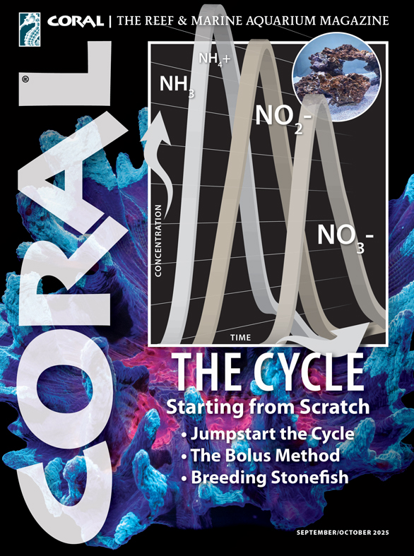 Nuovo CORAL Magazine: ciclo, biodiversità e nuove prospettive