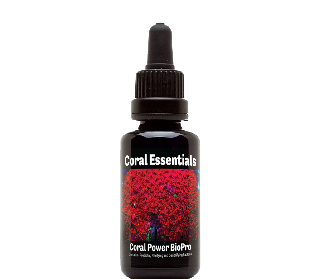 Coral Essentials Coral Power BioPro flacone 50 ml, probiotici batterici per acquari reef