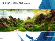 IAPLC 2025: l’Italia nella top 10 dell’aquascaping mondiale iaplc2025rampinelli