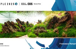 IAPLC 2025: l’Italia nella top 10 dell’aquascaping mondiale iaplc2025rampinelli