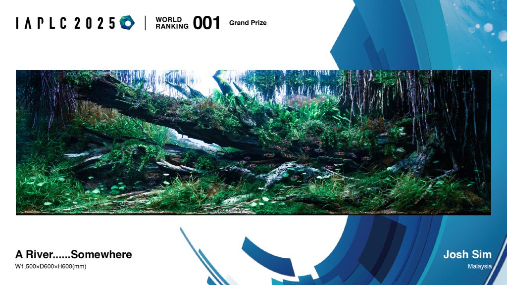 IAPLC 2025 – concorso mondiale di aquascaping ADA