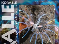 Koralle Magazine 154: Veleni nella barriera corallina e in acquario