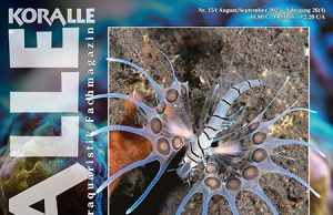 Koralle Magazine 154: Veleni nella barriera corallina e in acquario