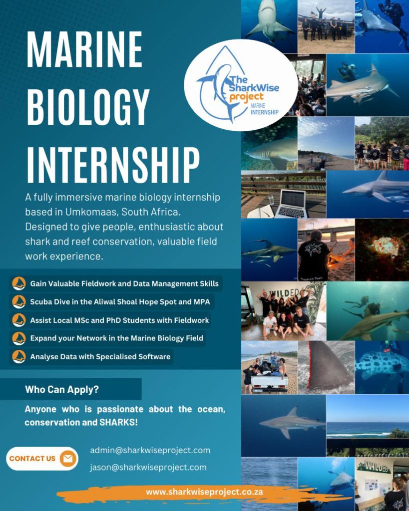 Locandina del programma di biologia marina SharkWise Project con squali e immersioni