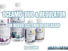 Oceamo DUO e Regulator: il nuovo sistema che cambia il dosaggio in acquario marino oceamo duo