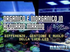 Organico e inorganico in acquario marino: guida alla gestione organico e inorganico acquario marino