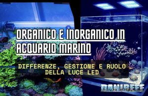 Organico e inorganico in acquario marino: guida alla gestione organico e inorganico acquario marino