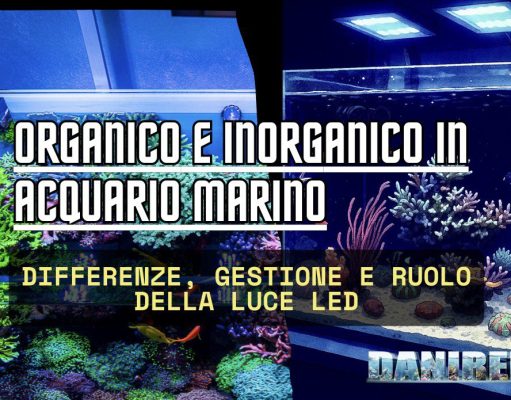 Organico e inorganico in acquario marino: guida alla gestione organico e inorganico acquario marino