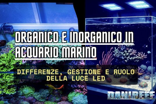 Organico e inorganico in acquario marino: guida alla gestione organico e inorganico acquario marino