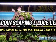 Aquascaping e luce LED: la tua plafoniera è davvero adatta? plafoniera LED aquascaping