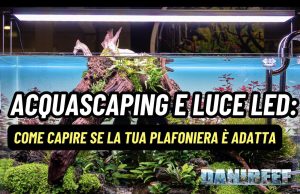 Aquascaping e luce LED: la tua plafoniera è davvero adatta? plafoniera LED aquascaping