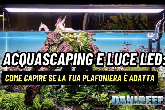 Aquascaping e luce LED: la tua plafoniera è davvero adatta? plafoniera LED aquascaping