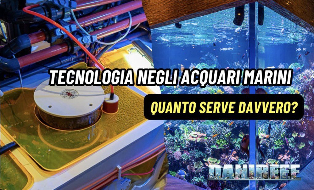 Tecnologia e attrezzature negli acquari marini: quanto servono davvero?
