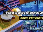 Tecnologia e attrezzature negli acquari marini: quanto servono davvero?
