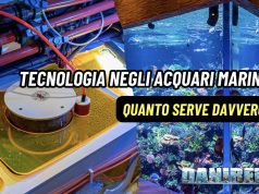 Tecnologia e attrezzature negli acquari marini: quanto servono davvero?