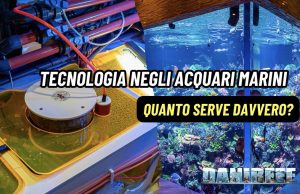 Tecnologia e attrezzature negli acquari marini: quanto servono davvero?