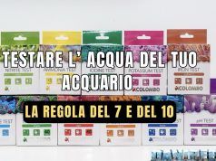 La regola del 7 e del 10 in acquario: ogni quanto fare i test test acquario