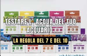 La regola del 7 e del 10 in acquario: ogni quanto fare i test test acquario