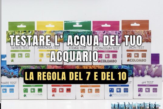 La regola del 7 e del 10 in acquario: ogni quanto fare i test test acquario