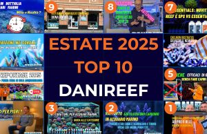 Estate 2025: i 10 articoli più popolari dell’acquario marino