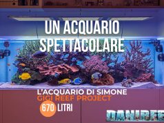 Lo spettacolare acquario marino di Simone – Gigi Reef Project