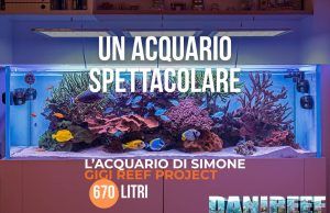 Lo spettacolare acquario marino di Simone – Gigi Reef Project