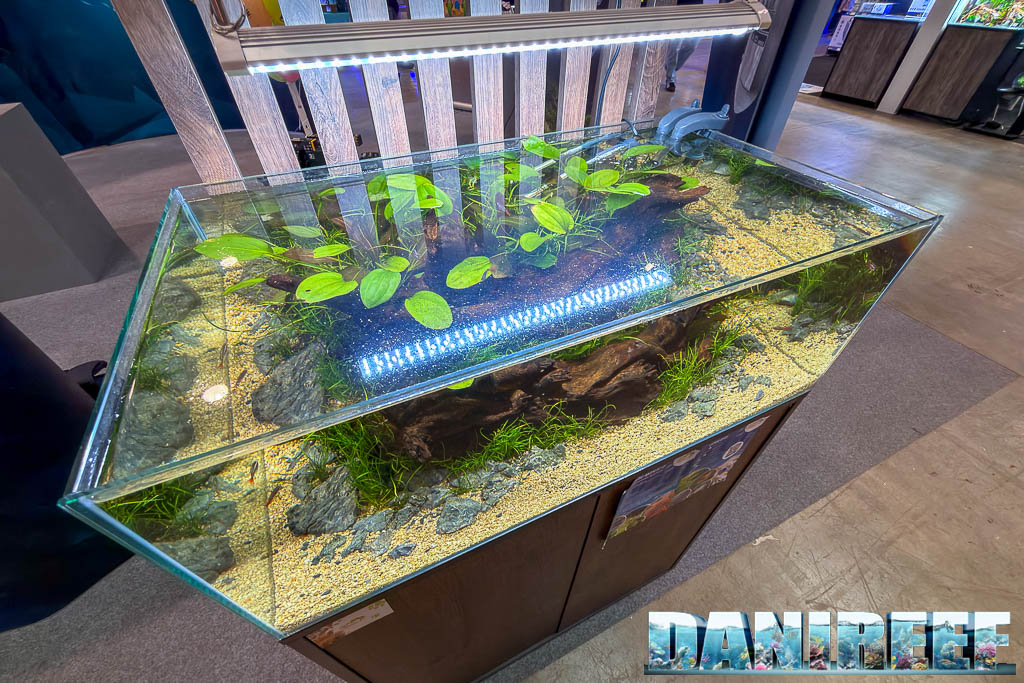 Acquario allestito da Agripetgarden presso Sicce