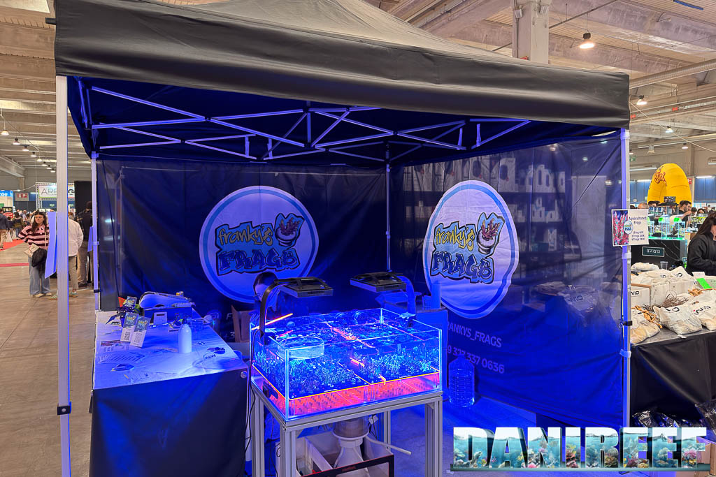 Stand Franky's Frags