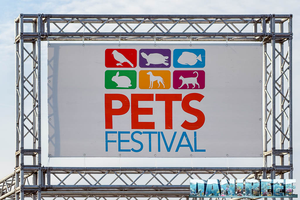 PetsFestival 2025: coralli, aquascaping e il nostro reportage
