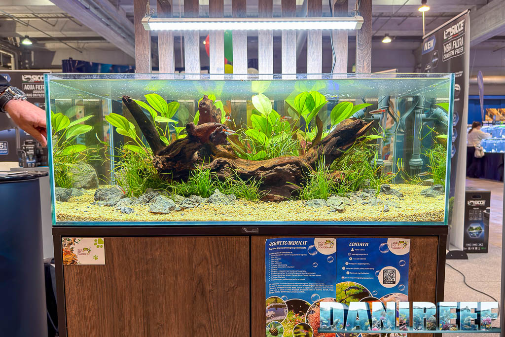 Acquario allestito da Agripetgarden presso Sicce