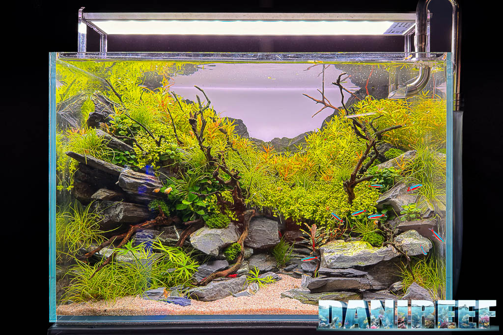 Acquascaping di Bruno Fiorenza