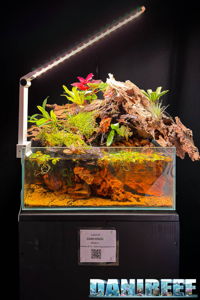 Acquascaping di Gianni Boggia