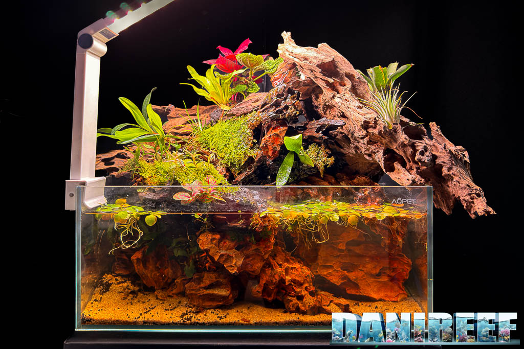 Acquascaping di Gianni Boggia