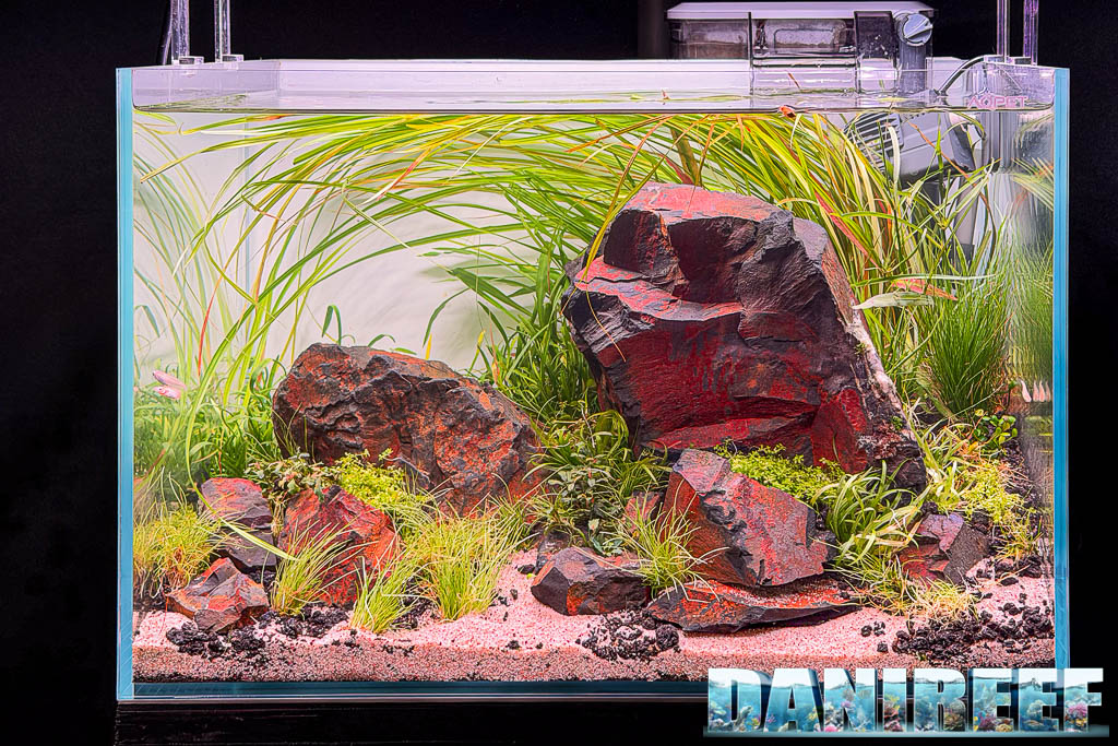 Acquascaping di Giuseppe Schiros