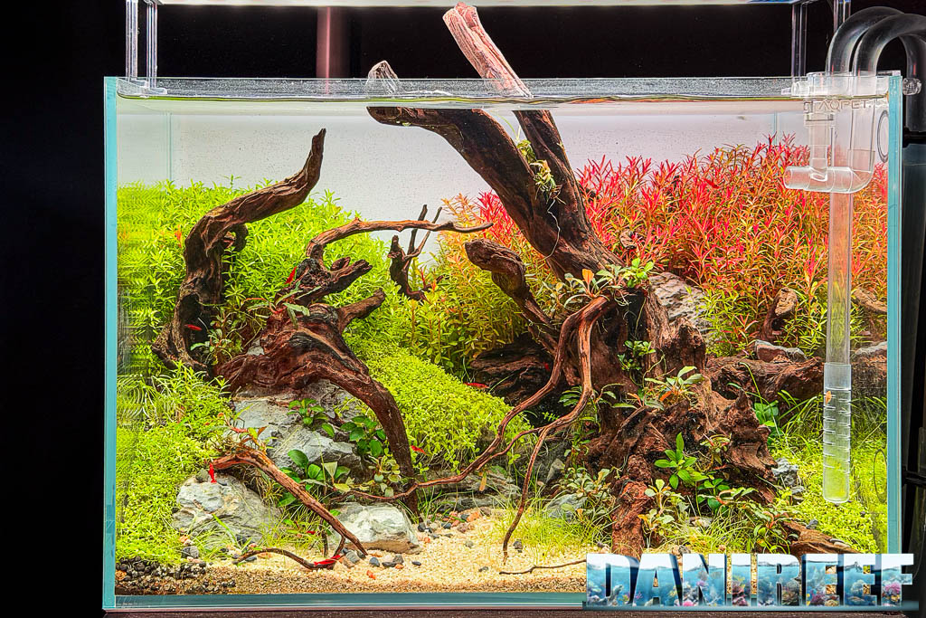 Acquascaping di Gloria Ciriello