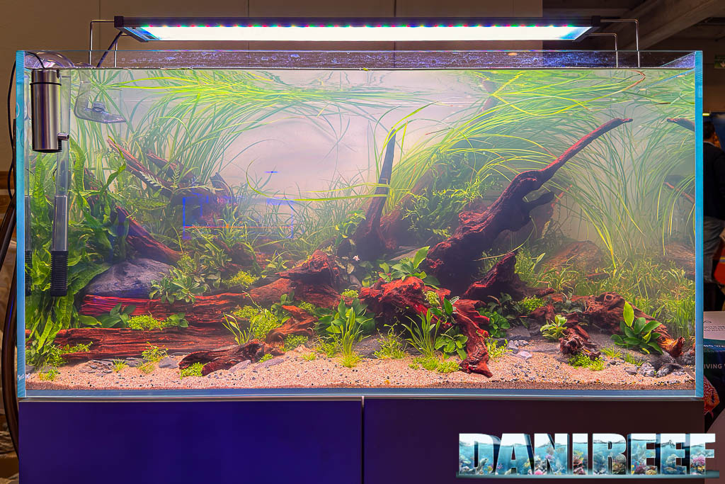 Acquascaping di Live AIC