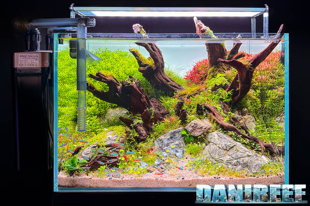 Acquascaping di Salvatore Scifo