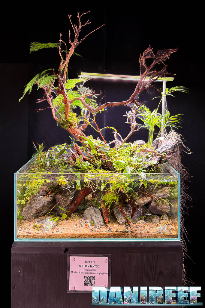 Acquascaping di William Fantini