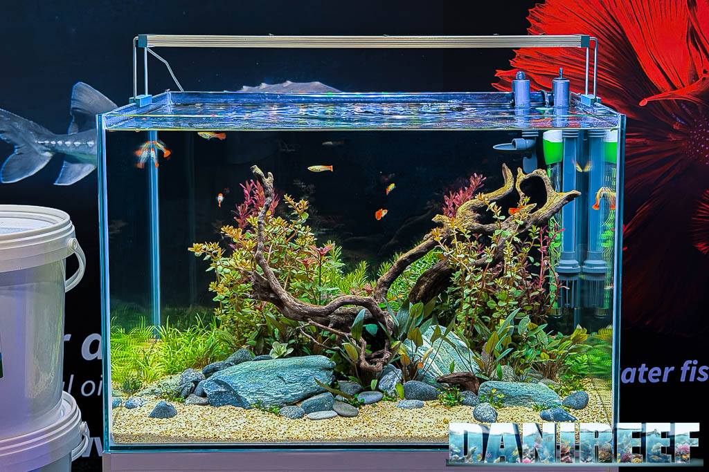 L'acquario allestito presso la giornata tenuta da GreenVet nello stand GreenVet