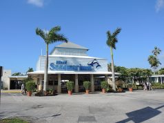 Il Miami Seaquarium cambia volto dopo 70 anni: inizia la rinascita