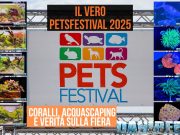 PetsFestival 2025: coralli, aquascaping e il nostro reportage