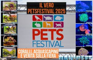 PetsFestival 2025: coralli, aquascaping e il nostro reportage