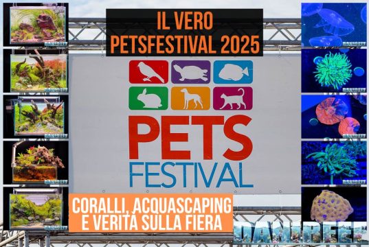 PetsFestival 2025: coralli, aquascaping e il nostro reportage