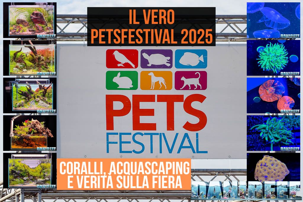 la nostra copertina dell'articolo!