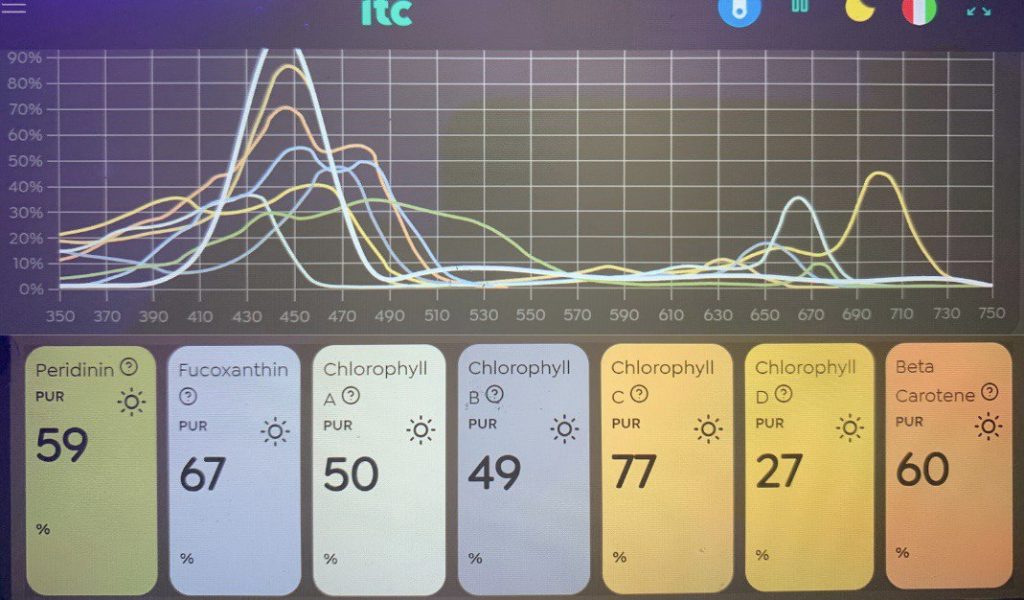 Confronto tra spettro della Noopsyche K7 Pro V3 e pigmenti fotosintetici dei coralli