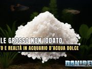 Sale grosso non iodato in acquario dolce: benefici, limiti e rischi Sale grosso non iodato