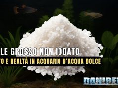 Sale grosso non iodato in acquario dolce: benefici, limiti e rischi Sale grosso non iodato
