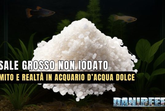 Sale grosso non iodato in acquario dolce: benefici, limiti e rischi Sale grosso non iodato