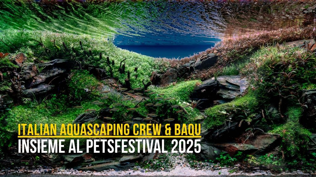 Italian Aquascaping Crew: debutto ufficiale al PetsFestival 2025 insieme a Baqu